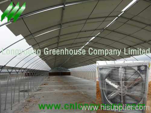 Economical Tunnel Connected Greenhouse