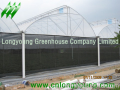 Economical Saw Tooth Greenhouse