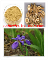 Indigowoad Root Extract Indirubin 1-90%