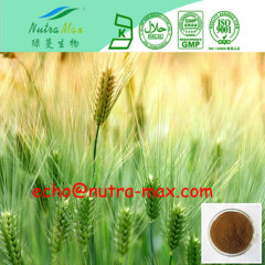 Hordeum vulgare Extract 98% Hordenine