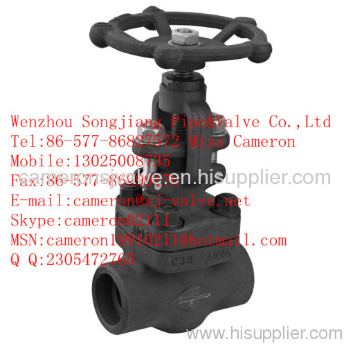 Forged Steel Gate Valve