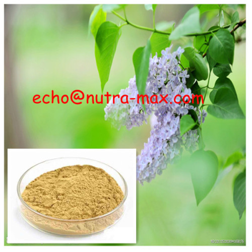 100% Natural Lilac Extract 8% Eugenol