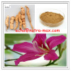 100% Natural Kansui Root Extract 5:1