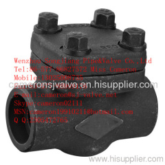 Wcb Check Valve (H12W-24)