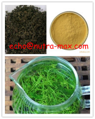 Gynostemma Extract 98% Gypenosides