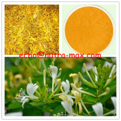 Lonicera Japonica Extract 99% Chlorogenic Acid