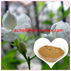 100% Natural Jasmine Extract 4:1