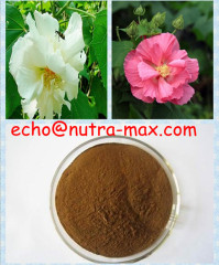 100% Natural Hibiscus Flower Extract 1% Anthocyanidins