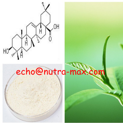 100% Natural Ligustrum Lucidum Extract 20%~98% Oleanolic Acid