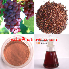 100% Natural Grape Seed Extract 95% OPC