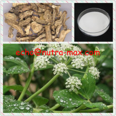100% Natural Hogfennel Root Extract 10:1