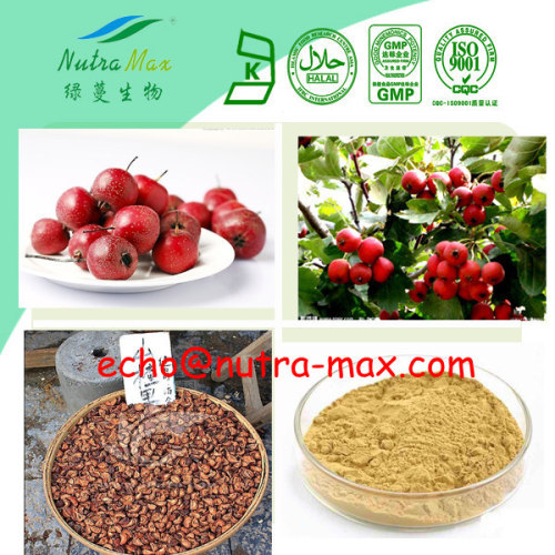 100% Natural Hawthorn Berry Extract 1%,2% Vitexin