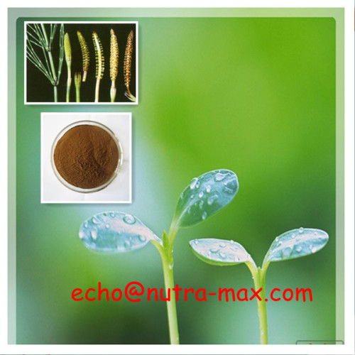 100% Natural Horsetail Extract 7% Silica acid