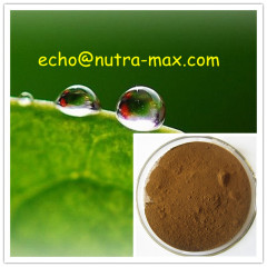 100% Natural Gymnema Extract 25% Gymnemic Acids