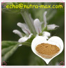 Horehound Extract Powder 5:1