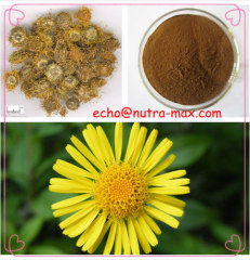 100% Natural Inula britannica Extract 10% Chlorogenic acid