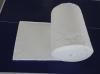 refractory ceramic fiber cloth with wire