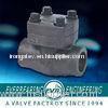 WCB, SS 316, SS 304 1/4" to 4"10 Cast Iron Check Valve, API 589 ASME B16.34 Swing Check Valve