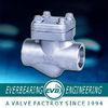 Cast Iron Check Valve, Lift Type, Ball Type, Cast Iron Check Valve, Angle Valve, Non Return Valve