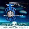 PN10 125LB API 598 Flange Butterfly Valve / BS5155 Double Concentric Flanged Wafer Butterfly Valve