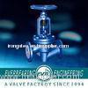 Class 150, JIS 10K PTFE Lining Globe Valve, GB, T12235 PN16 Stainless steel, Cast steel Ptfe Lined V