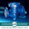 Fluorine Lined Check Valve, PN16 Vertical Lift, Swing Lift Through Way Type CF8M Stainless Steel Ptf