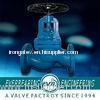 DIN3356 GG20 GG25 Brass Seat Ring Cast Iron, PN10 Or PN16 Forged Steel Globe Valve With DIN2533 Flan
