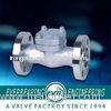 Forged Stainless Steel Flanged Check Valve, 1/2"-2" or DN15-DN50 PN16-PN160 Forged Steel Check Valve