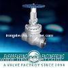 Butt Weld Carbon Steel Gate Valve, Manual, Worm Gear, Electric, Pneumat DN25 ~ 150 Forged Steel Gate