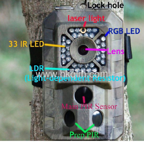 720P HD video hunting trail camera