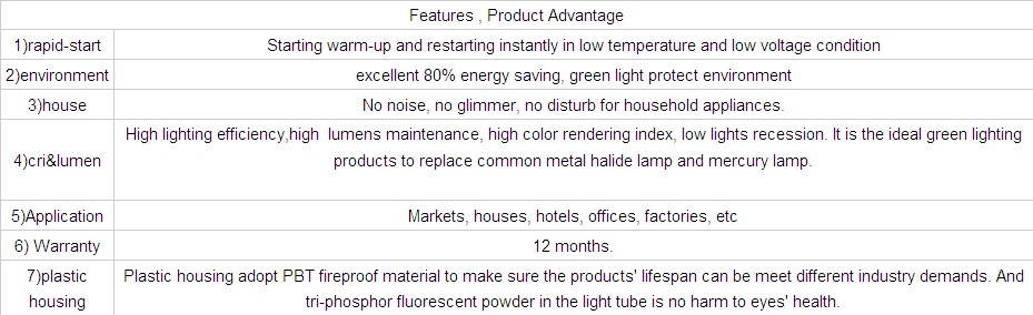 3U T4 Compact Florescent Lamp