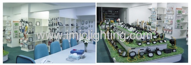 New style 30W LED garden COB Flood Light with Aluminium Die-casting body