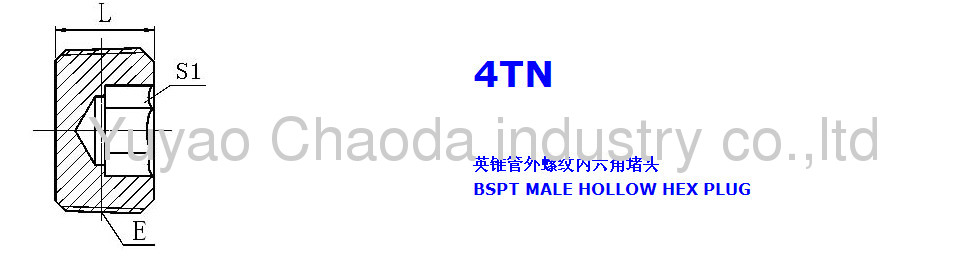 BSPT MALE HOLLOW HEX PLUG