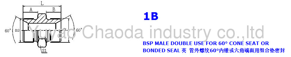 BSP MALE DOUBLE FOR 60° SEAL OR BONDED SEAL FITTING