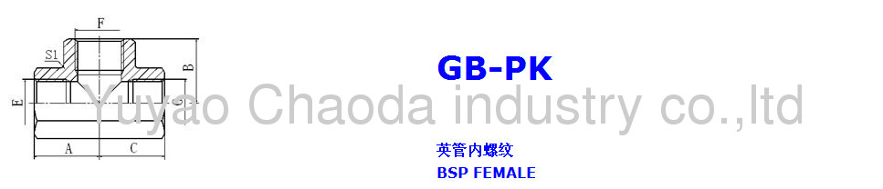 BSP FEMALE ISO1179 TEE