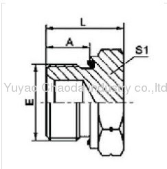 BSP MALE CAPTIVE SEAL PLUG