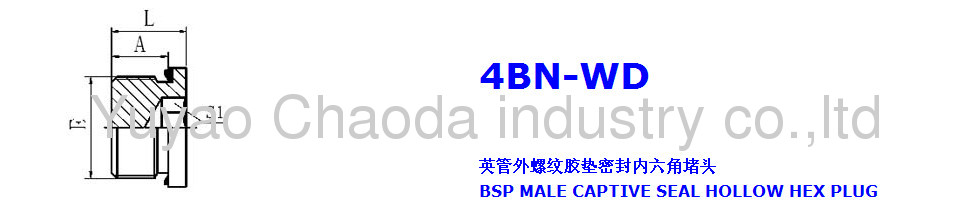 BSP MALE CAPTIVE SEAL HOLLOW HEX PLUG