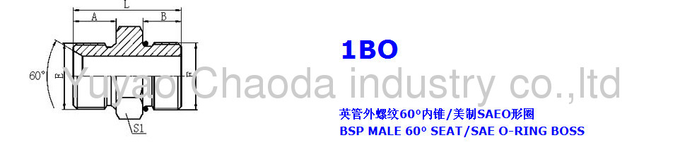 BSP MALE DOUBLE USE FOR 60° SEAT OR BONDED SEAL/SAE O-RING BOSS L-SERIES ISO 11926-3