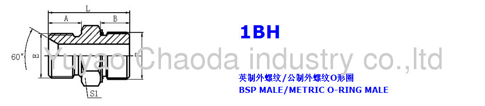 BSP MALE DOUBLE USE FOR 60° SEAT OR BONDED SEAL/METRIC MALE-SERIES ISO6149-3