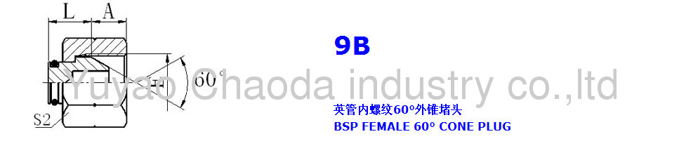 BSP FEMALE 60° CONE PLUG