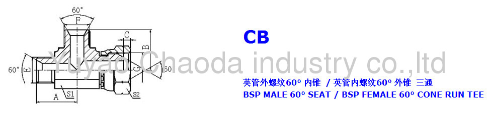 BSP MALE 60° SEAT/BSP FEMALE 60° CONE RUN TEE