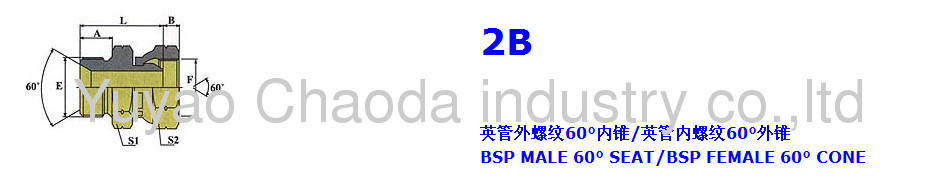 BSP MALE DOUBLE USE FOR 60° SEAT OR BONDED SEAL/BSP FEMALE 60°CONE