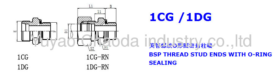 BSP THREAD STUD ENDS WITH O-RING SEALING