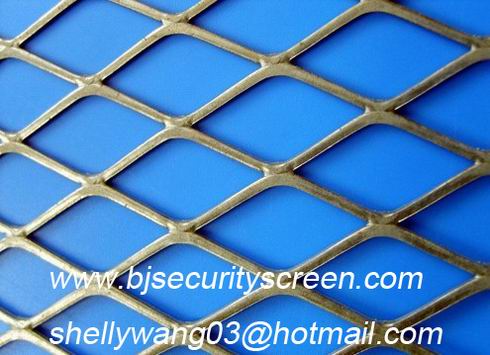 Stainless Steel Expanded Metal Mesh