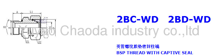 BSP THREAD WITH CAPTIVE SEAL /METRIC FEMALE24°CONE O-RING SEALING