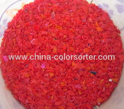 PET plastic CCD color sorter