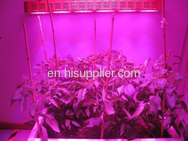 140W LED Grow Light