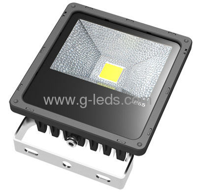 LED Flood light GLF-F10W