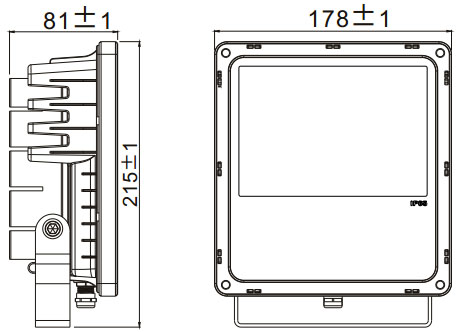 LED Flood light GLF-F10W