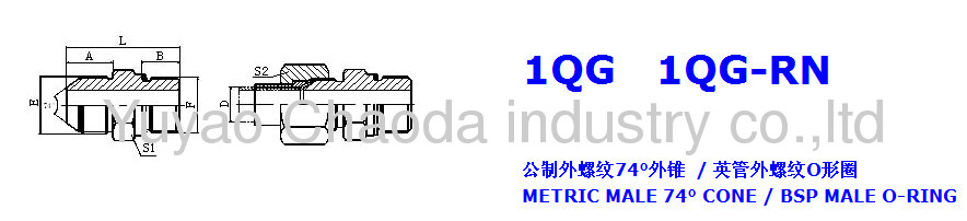 METRIC MALE 74°CONE/BSP MALE O-RING 